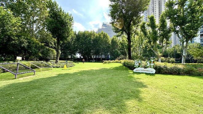 规施行一周上海升级版游园带来哪些“乐与痛”?新葡京娱乐场app事关搭帐篷、带宠物……新(图10) 规施行一周上海升级版游园带来哪些“乐与痛”?新葡京娱乐场app事关搭帐篷、带宠物……新(图10)