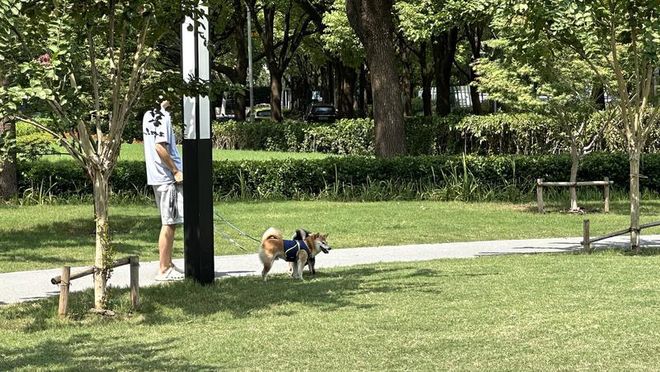 规施行一周上海升级版游园带来哪些“乐与痛”?新葡京娱乐场app事关搭帐篷、带宠物……新(图5) 规施行一周上海升级版游园带来哪些“乐与痛”?新葡京娱乐场app事关搭帐篷、带宠物……新(图5)