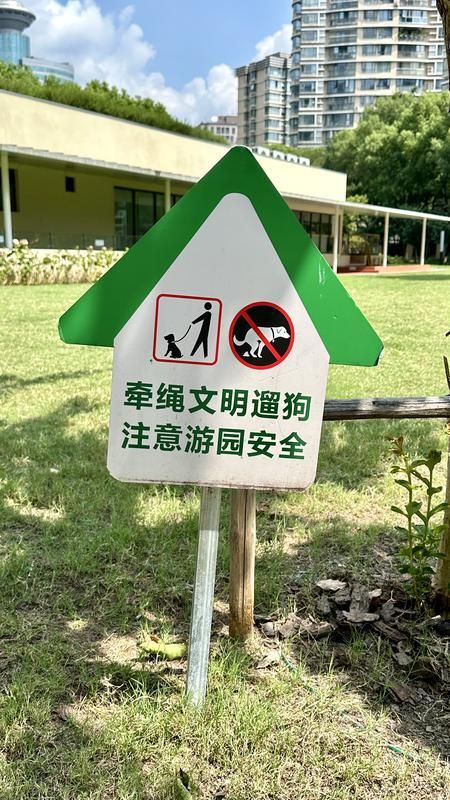 规施行一周上海升级版游园带来哪些“乐与痛”?新葡京娱乐场app事关搭帐篷、带宠物……新(图8) 规施行一周上海升级版游园带来哪些“乐与痛”?新葡京娱乐场app事关搭帐篷、带宠物……新(图8)
