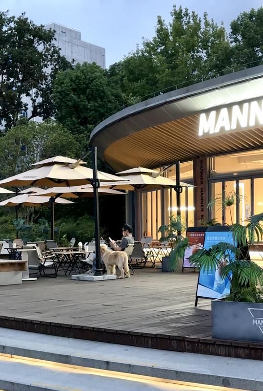 规施行一周上海升级版游园带来哪些“乐与痛”?新葡京娱乐场app事关搭帐篷、带宠物……新(图6) 规施行一周上海升级版游园带来哪些“乐与痛”?新葡京娱乐场app事关搭帐篷、带宠物……新(图6)