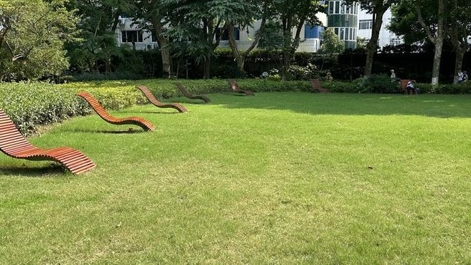 规施行一周上海升级版游园带来哪些“乐与痛”?新葡京娱乐场app事关搭帐篷、带宠物……新(图2) 规施行一周上海升级版游园带来哪些“乐与痛”?新葡京娱乐场app事关搭帐篷、带宠物……新(图2)